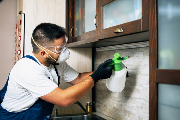 Best Best Pest Control Companies  in Old Brookville, NY