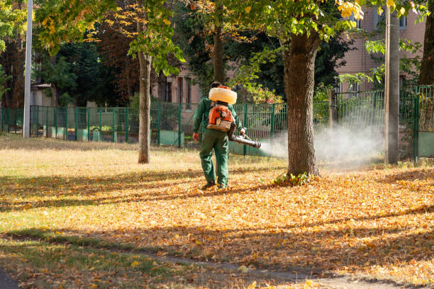 Best Spider Control Near Me  in Old Brookville, NY