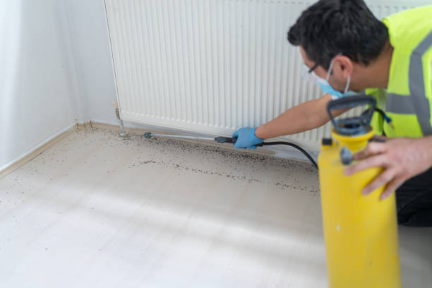 Best Best Pest Control Companies  in Old Brookville, NY